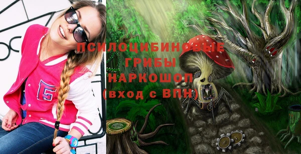 сатива Заволжье