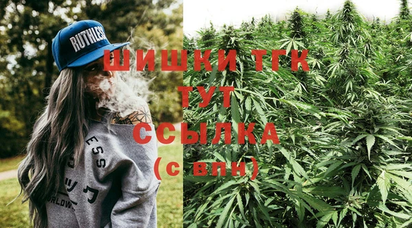 амф Алексин