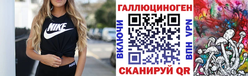 Галлюциногенные грибы Psilocybe купить наркотики цена Дорогобуж
