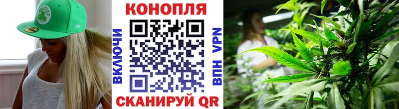 omg рабочий сайт Дорогобуж Конопля гибрид